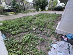 IMG_5271