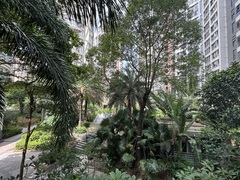 IMG_8964