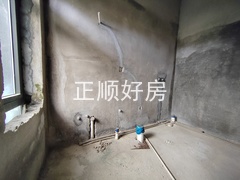IMG_20241125_132821