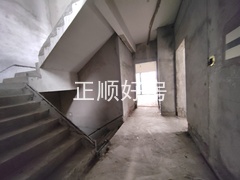 IMG_20241125_132725