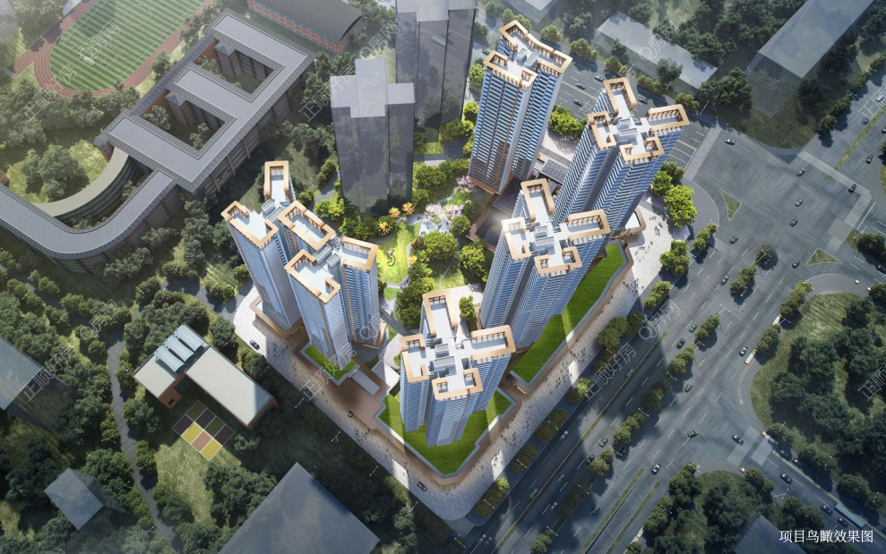实景图