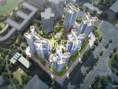 大图1