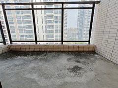 微信图片_20251114203431_75_4