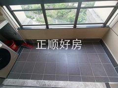 IMG_20240219_163257