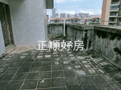 阳台10025874