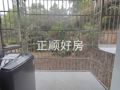 IMG_20240219_104722