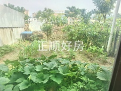 前花园