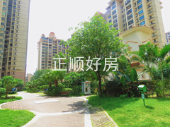 小区道路2