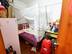 IMG_20240613_142701_batch_0_1718261242077