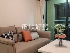 mmexport1739326121207