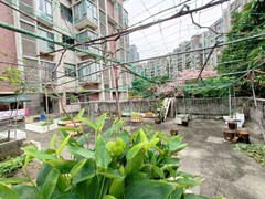 大平台