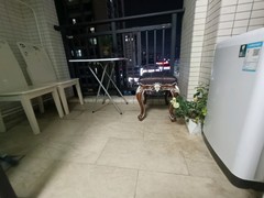阳台
