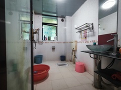 IMG_20250210_114918
