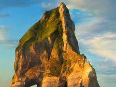 测试