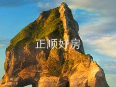 测试