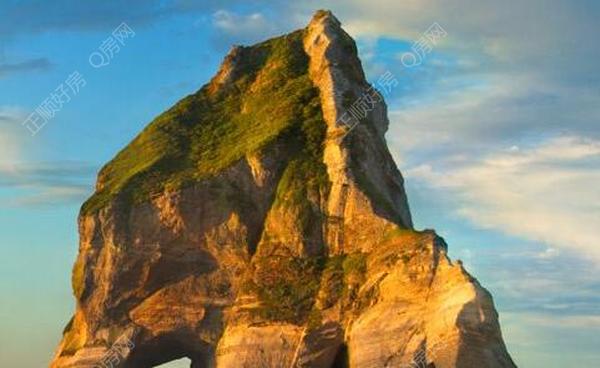 测试