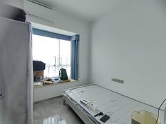 IMG_20250417_094726