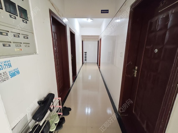 微信图片_20251211201541_226_2