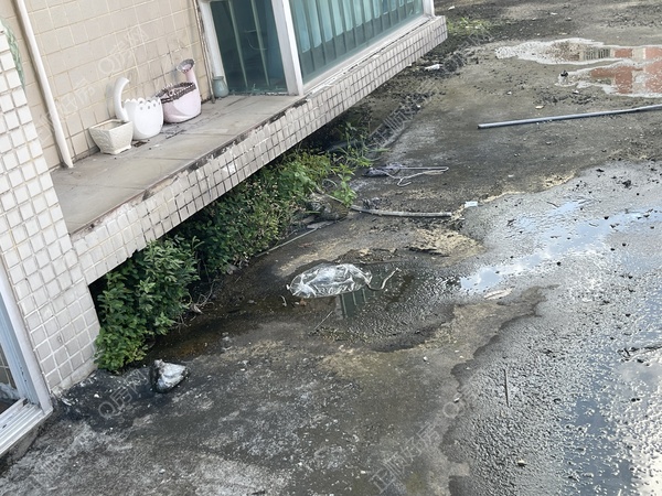 微信图片_20240803180403