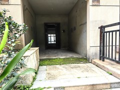 IMG_20240528_142917
