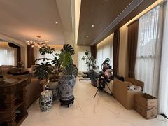 客厅