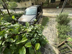 后花园