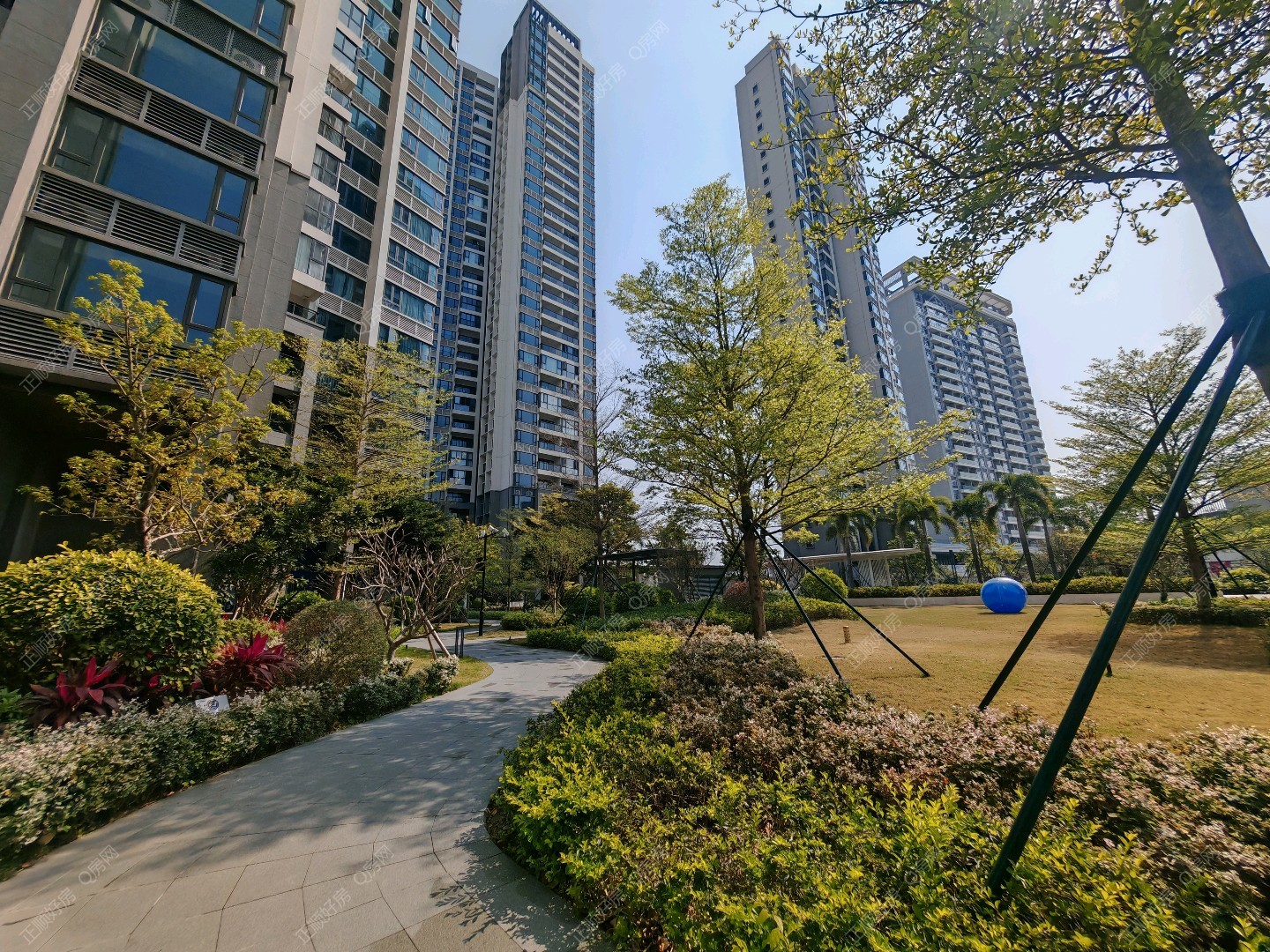 实景图