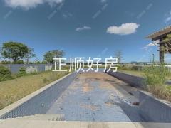 游泳池11828641