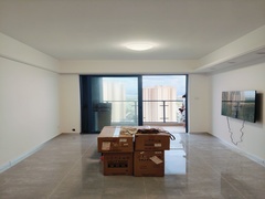 IMG20240715184521