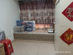 IMG_20240621_085208