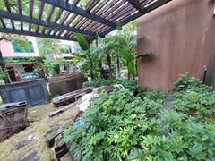 IMG_20241125_133627