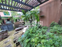 IMG_20241125_133627