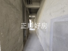 20250228_163739