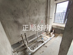 微信图片_20241111181711