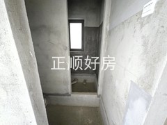 20250228_163749