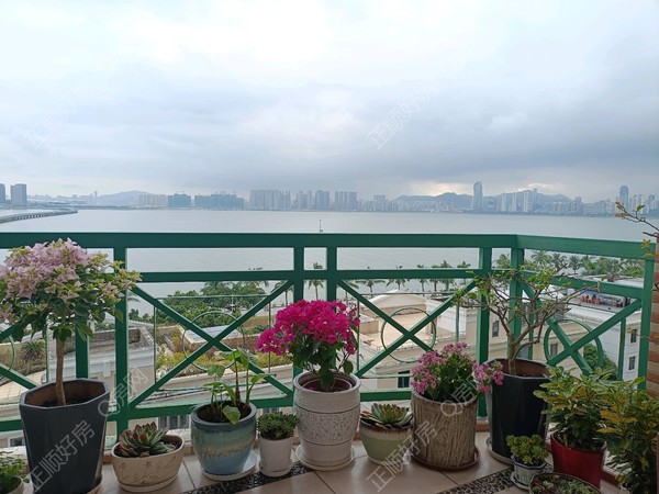 VR看房
