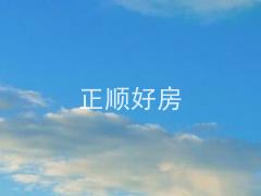 测试