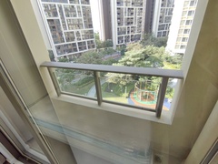 IMG_20241221_105550