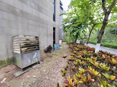 IMG_20241125_133647