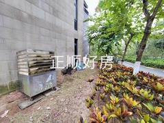 IMG_20241125_133647