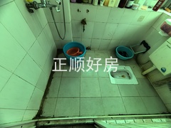 IMG_20240518_104719