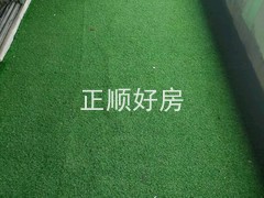 tmpimage