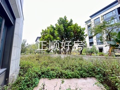 tmpimage
