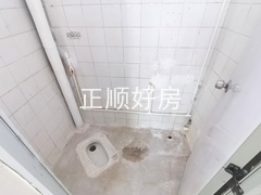 微信图片_202407251806591