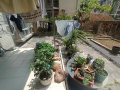 house_img