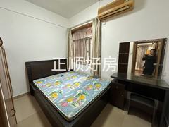 微信图片_202411270852541