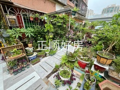 前花园
