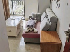 客厅