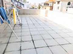 平台