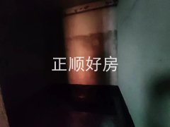 微信图片_202408121713577